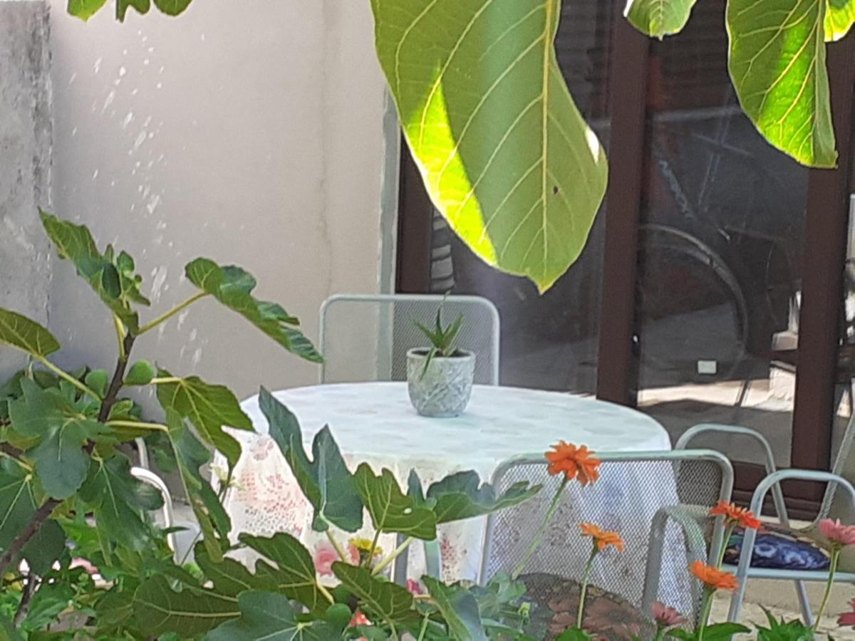 Apartment Helena Senj  Dış mekan fotoğraf