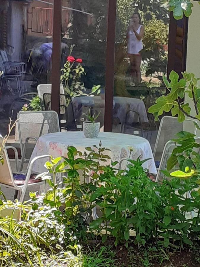 Apartment Helena Senj  Dış mekan fotoğraf